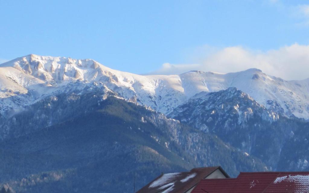 Pensiunea Ando Bran  Esterno foto