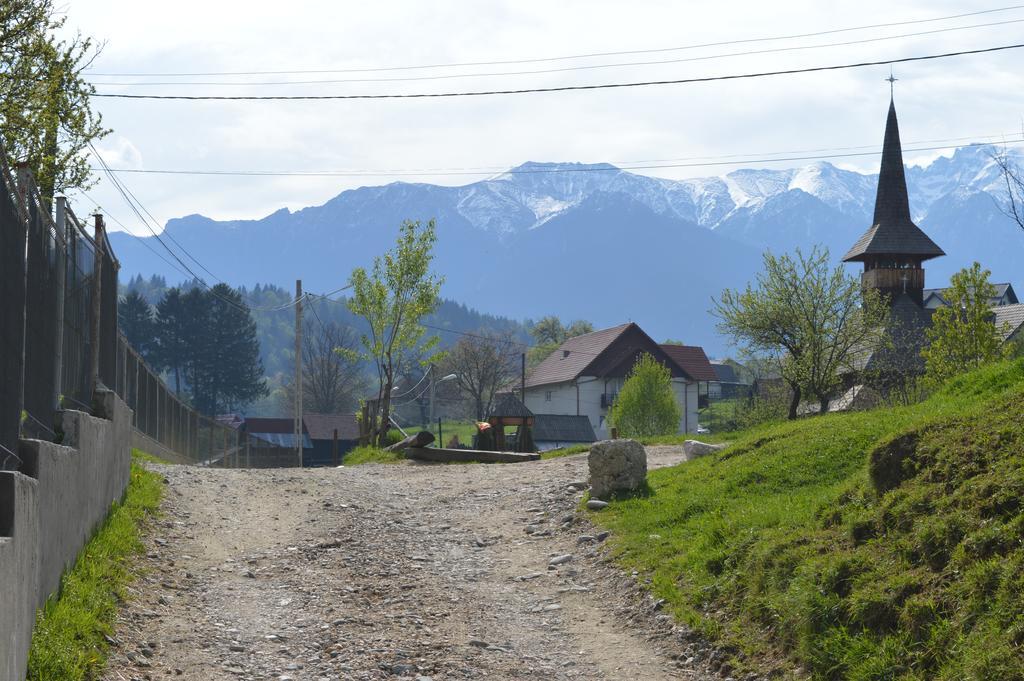 Pensiunea Ando Bran  Esterno foto